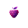 Wineberry Logo